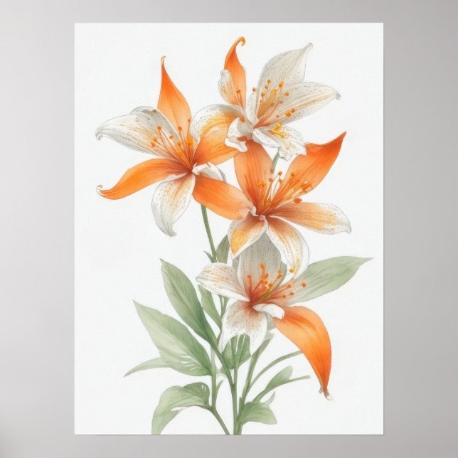 Orange Lily Flowers Poster (Front)