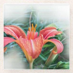 orange lily glass coaster