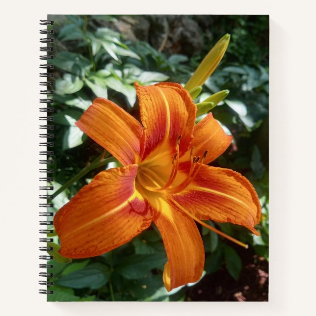 Orange Lily Green Leaves Flower Photo Journal  (Front)