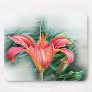 orange lily mouse pad