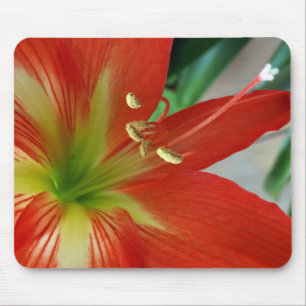 orange lily mouse pad
