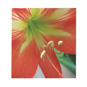 orange lily notepad