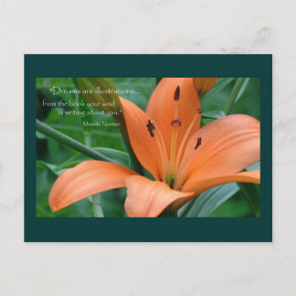 Orange Lily Postcard
