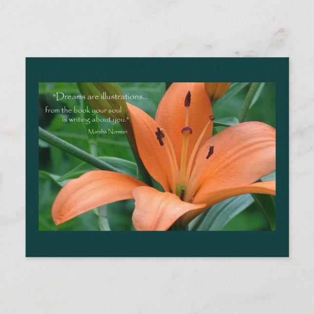 Orange Lily Postcard (Front)