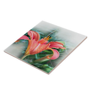orange lily tile