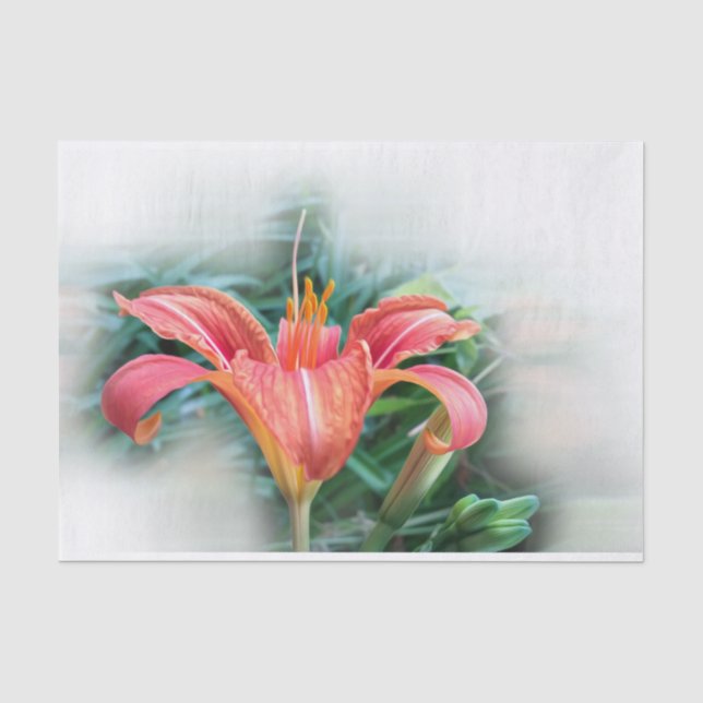 orange lily tissue paper (Front)