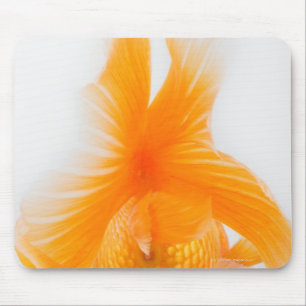 Orange lionhead goldfish (Carassius auratus) 2 Mouse Pad
