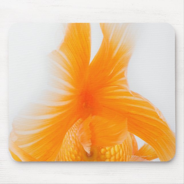 Orange lionhead goldfish (Carassius auratus) 2 Mouse Pad (Front)