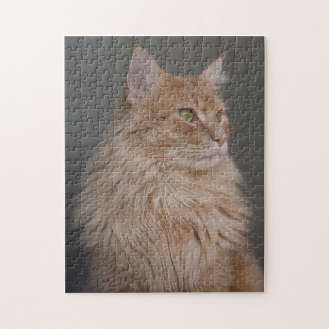 Orange Longhair Cat Jigsaw Puzzle (Vertical)