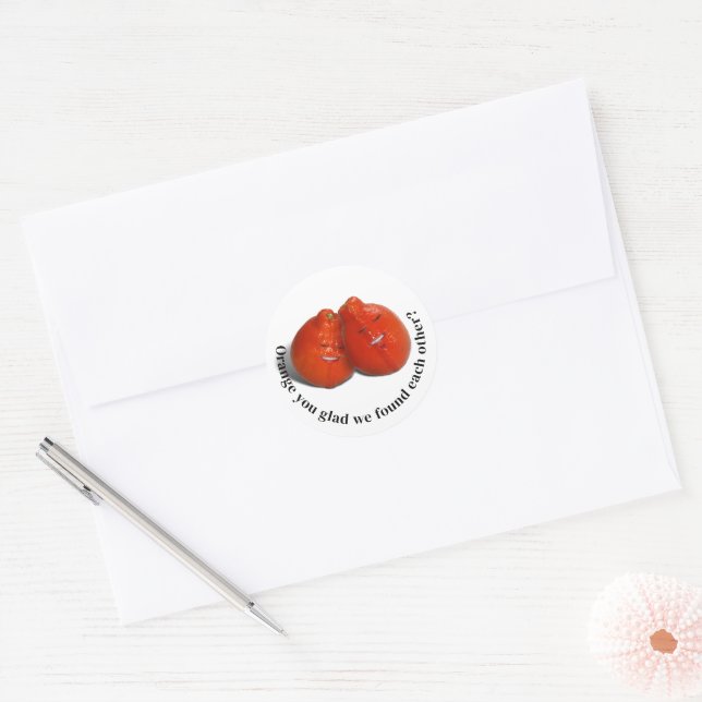 Orange Lovers Classic Round Sticker (Envelope)