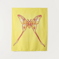 Orange Luna Moth Art – Colourful Insect