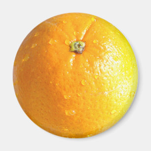 Orange Magnet 02