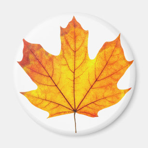 Orange maple leaf magnet