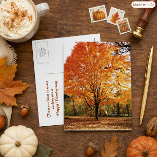 Orange Maple Leaves Thanksgiving Photo Postcard