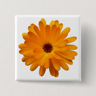 Orange Marigold 15 Cm Square Badge