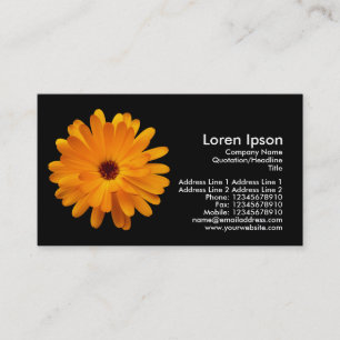Orange Marigold - Black Business Card