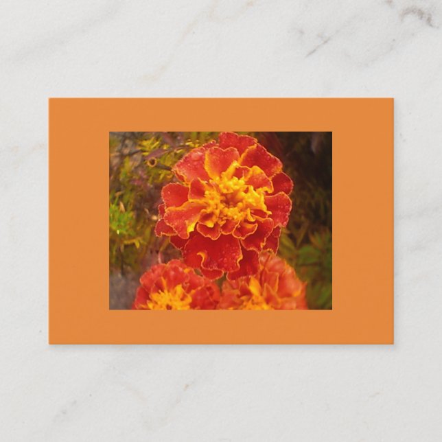 Orange Marigold Business Card (Front)
