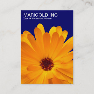 Orange Marigold - Deep Navy Blue Business Card