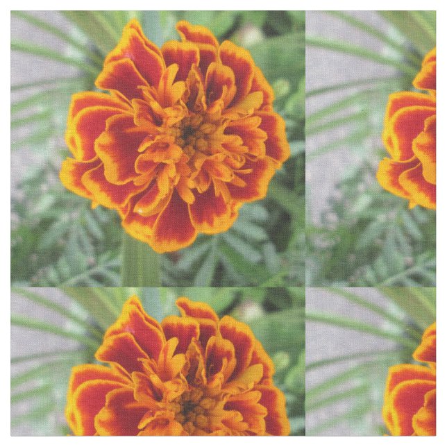 Orange Marigold Flower Fabric (Close Up)