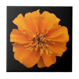 Orange Marigold Flower on Black Tile