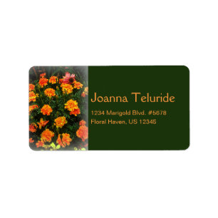 Orange Marigold Flowers Blooming In Summer Garden Label