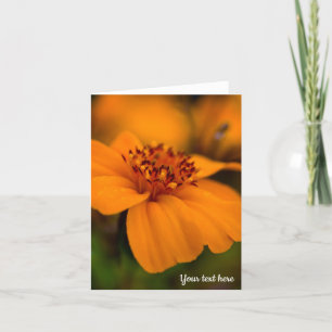 Orange Marigold Greeting card