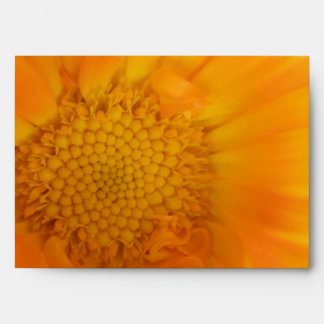 Orange Marigold Macro Envelopes