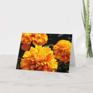 "Orange Marigolds" Card