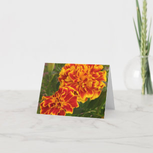 Orange Marigolds Striking Garden Photo Thank You Card