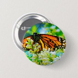 Orange monarch butterfly photo modern bold stylish 6 cm round badge