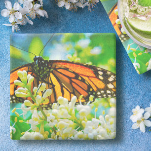 Orange Monarch Butterfly White Flower Photography Stone Coaster