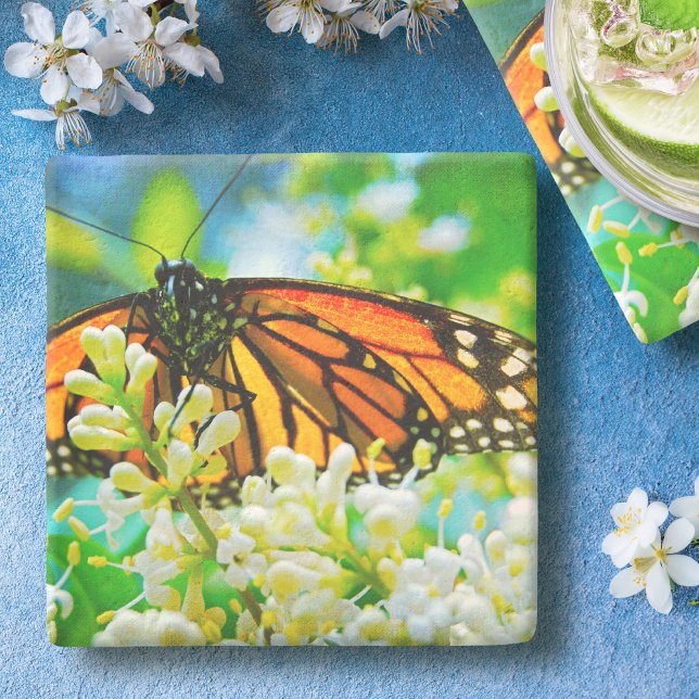 Orange Monarch Butterfly White Flower Photography Stone Coaster (Creator Uploaded)