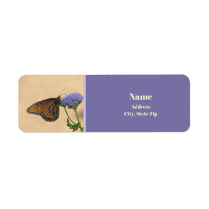 Orange Monarch Purple Flower Photo Butterfly