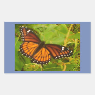 Orange Monarch Rectangular Sticker