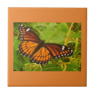 Orange Monarch Tile