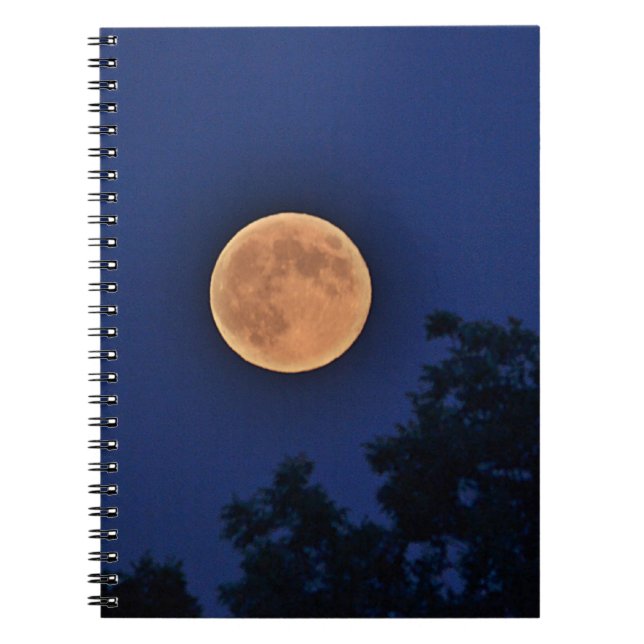 Orange Moon Notebook (Front)