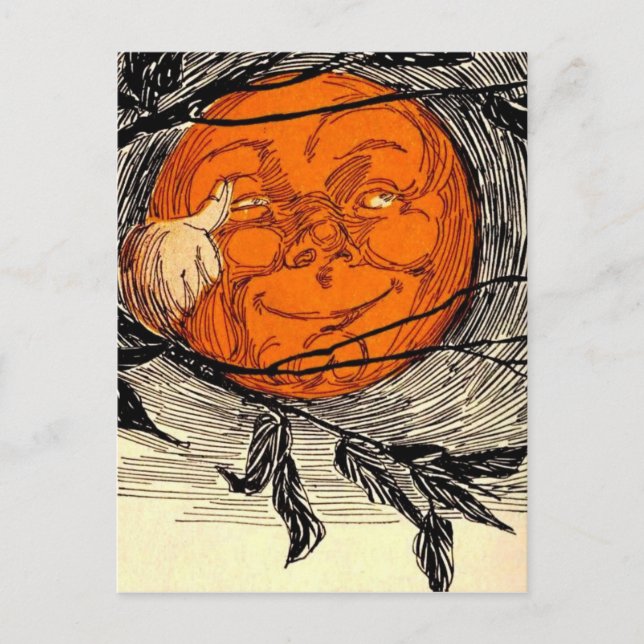 Orange Moon Vintage Illustration  Postcard (Front)