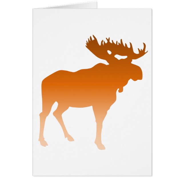 Orange Moose (Front)