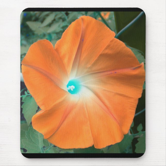 Orange Morning Glory Mouse Pad (Front)