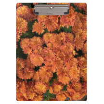 Orange Mums Clipboard