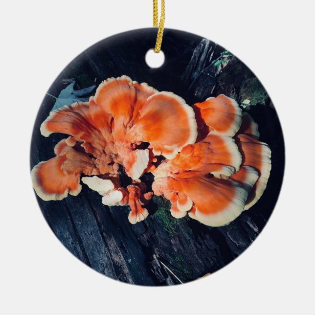 Orange Mushroom Circle Ornament (Front)
