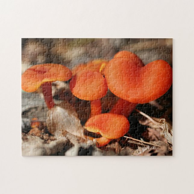 Orange Mushroom Family Nature   Jigsaw Puzzle (Horizontal)
