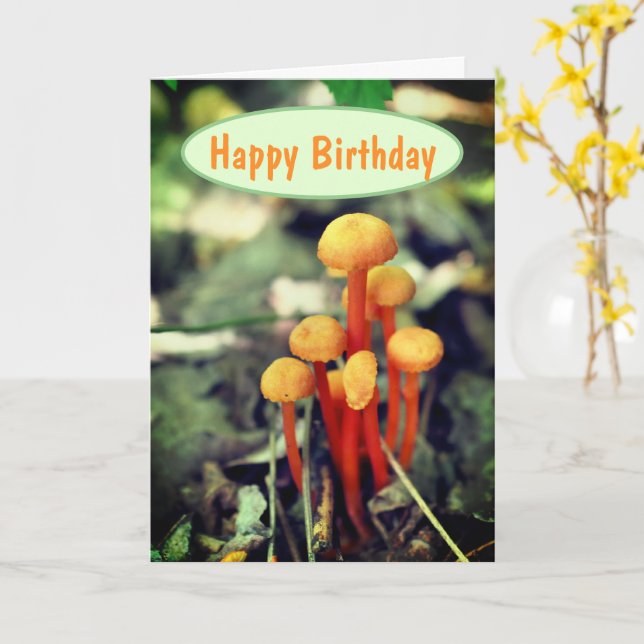 Orange Mushrooms Nature Birthday  Card (Yellow Flower)