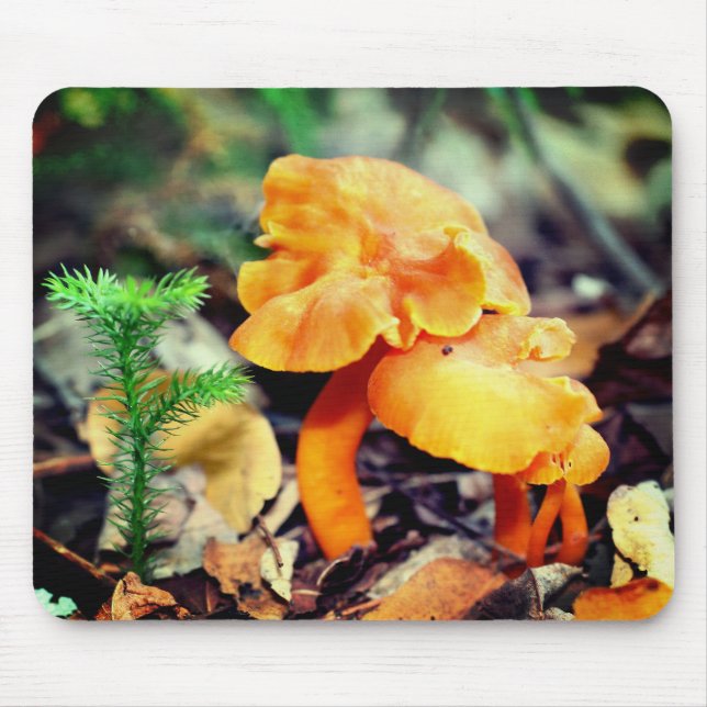 Orange Mushrooms Nature  Mouse Pad (Front)