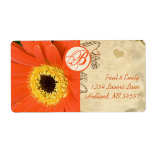 Orange Musical Gerber Daisy Grey Musical Notes