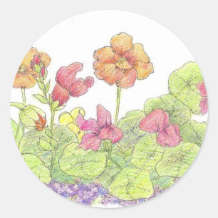Orange Nasturtiums Cottage Flower Garden Art Classic Round Sticker