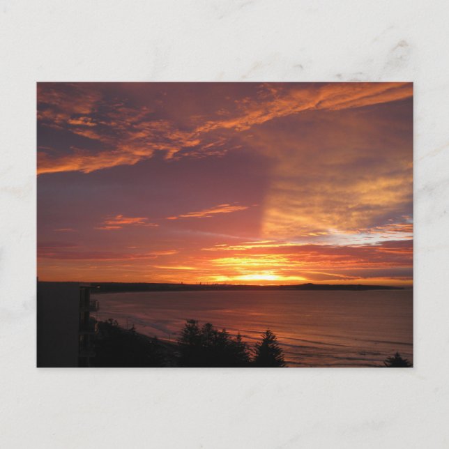 Orange Ocean Sunset Photography  Postcard (Front)