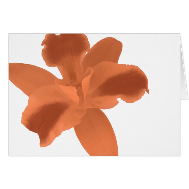 Orange Orchid Card (Front Horizontal)