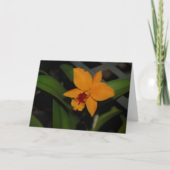 Orange Orchid Card (Front)