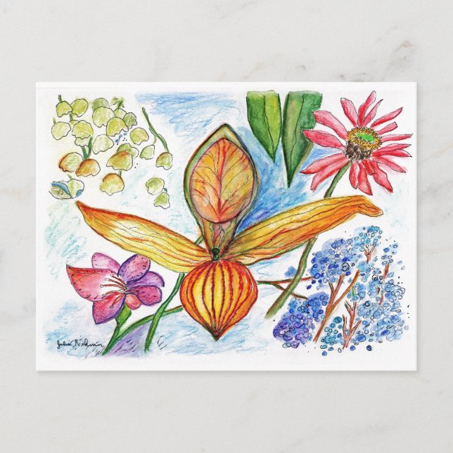 Orange Orchid Drawing Postcard (Front)